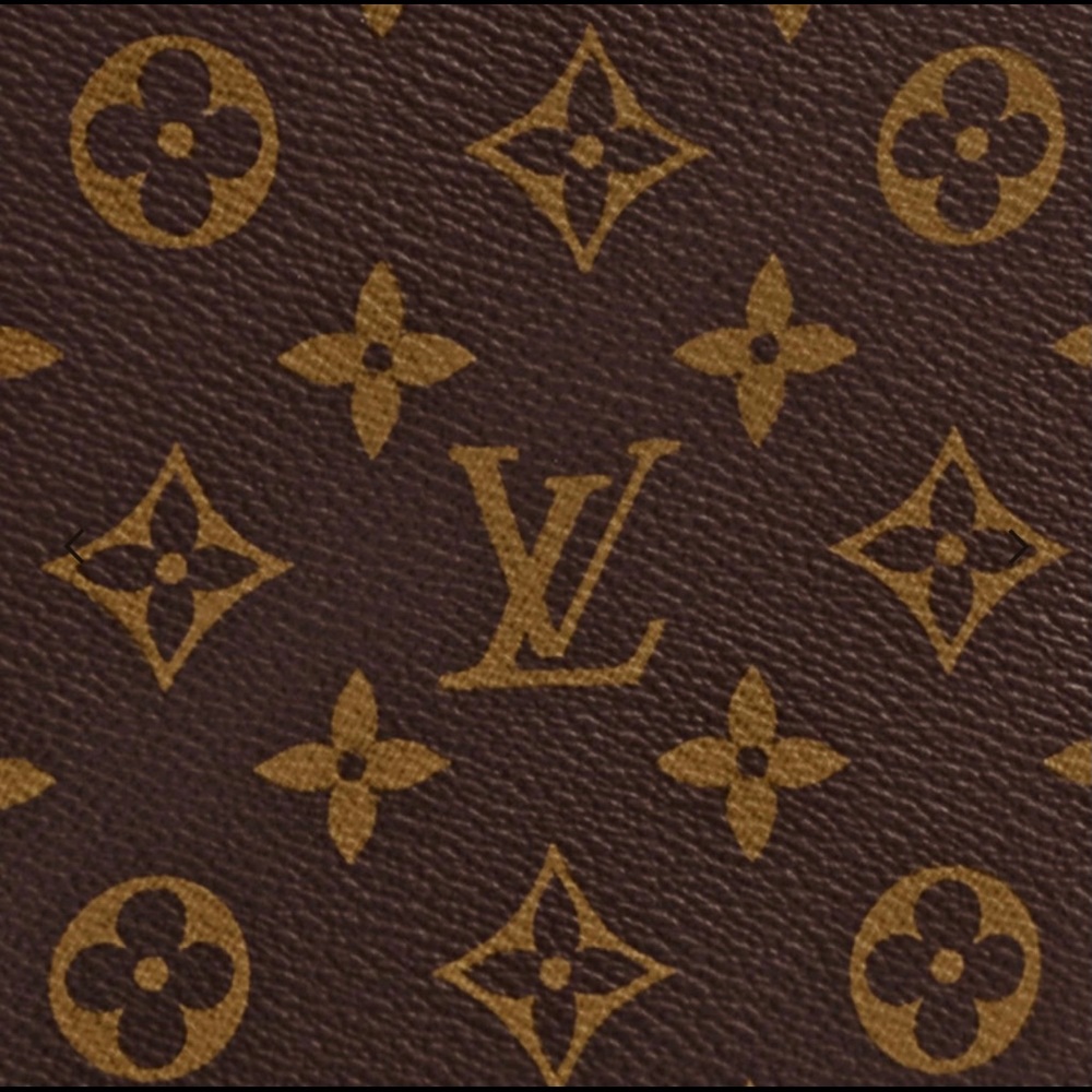 AUTHENTIC LOUIS VUITTON PET CARRIER 40 CELEB FAV - Picture 15 of 15